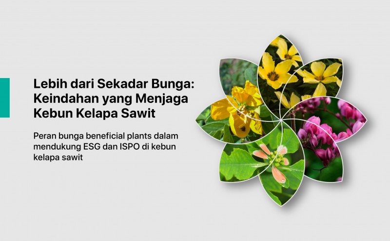 Lebih dari Sekadar Bunga: Keindahan yang Menjaga Kebun Kelapa Sawit
