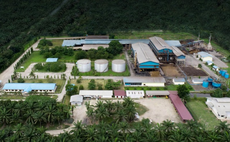 Laba PT Cisadane Sawit Raya Tbk. Melonjak 179,2% Pada Kuartal III/2021