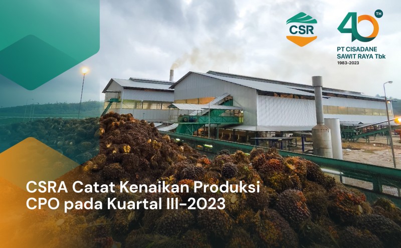 CSRA Catat Kenaikan Produksi CPO pada Kuartal III-2023